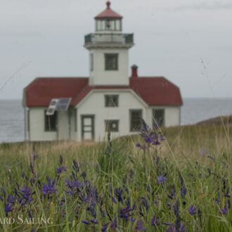 A visit to Patos Island to see the wildflowers