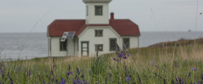 A visit to Patos Island to see the wildflowers A visit to Patos Island to see the wildflowers