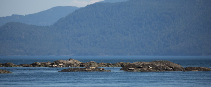 Great winds for sailing to explore New Channel