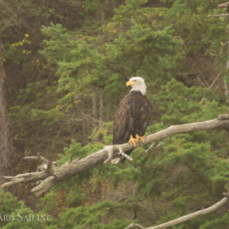 A sail around Orcas Island