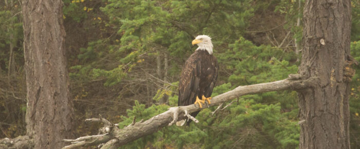 A sail around Orcas Island