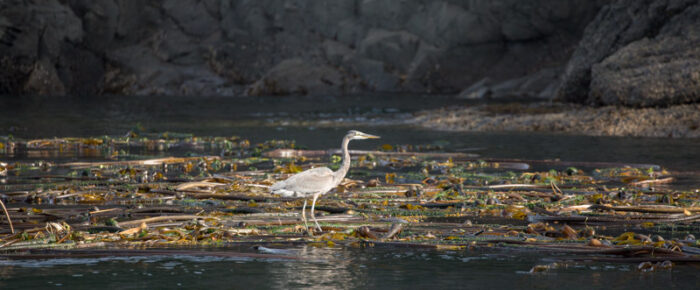 A sail around Stuart Island