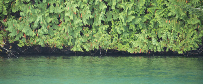 Half day sail around Shaw Island