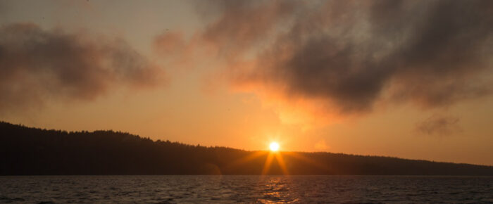 Evening sunset sail mixed with fog