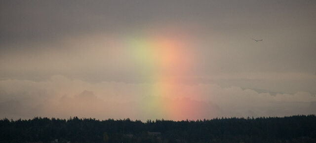 Short evening sail ends with a rainbow