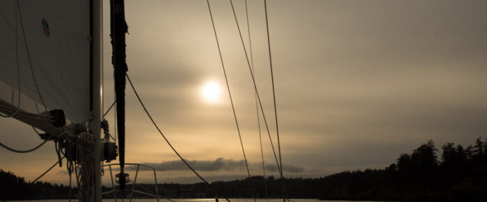 November sail November sail