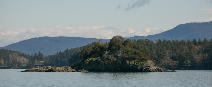 Short sail through the Wasp Islands