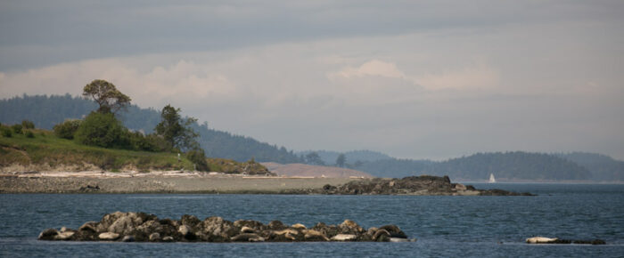 A half day sail north