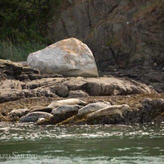 Evening sail to Flattop and New Channel