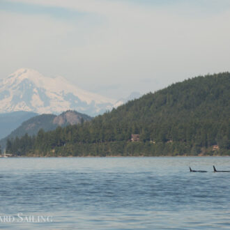 Orcas T36’s, T77C with T77D and a sail around Blakely