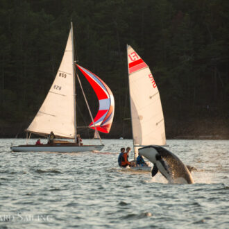 Orcas T37A’s in West Sound and a sunset sail