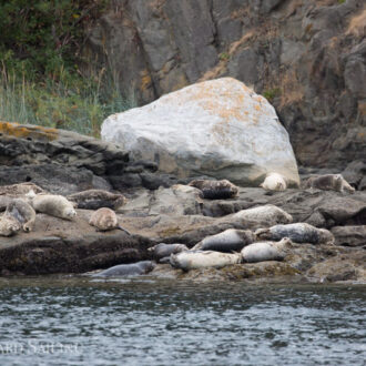 North around Stuart Island