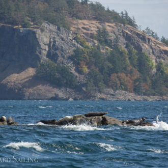 Heading north with reefed sails