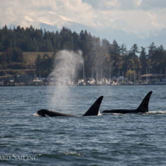 T65A’s and T123’s pass Friday Harbor