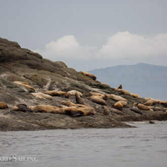 Half day wildlife tour