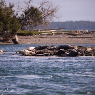 Short sail around Turn Island to Pt George