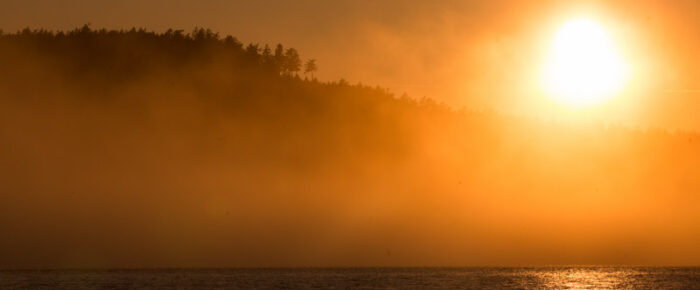 Foggy Sunset Sail Foggy Sunset Sail