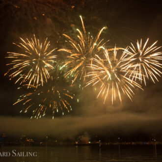 Minke whales and the July 4th Fireworks