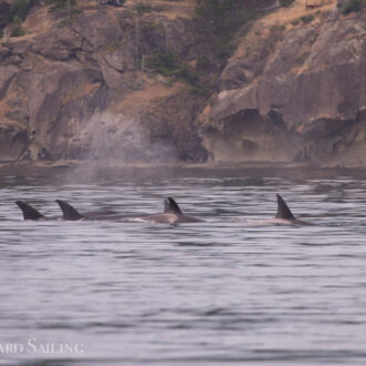 Orcas T65A’s and T77’s headed to East Point