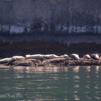 Flattop, Skipjack, Bare, Waldron and Orcas Islands