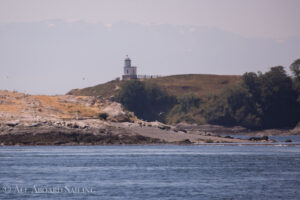 Goose Island and Cattle Point Lighthouse