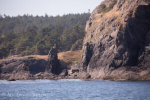 South Lopez dramatic shoreline