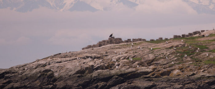 Sail South to Long Island Sail South to Long Island