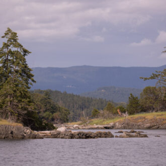 Short sail in the Salish Sea