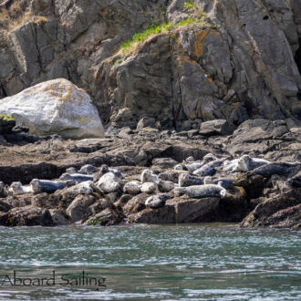 North to Flattop Island and Green Point