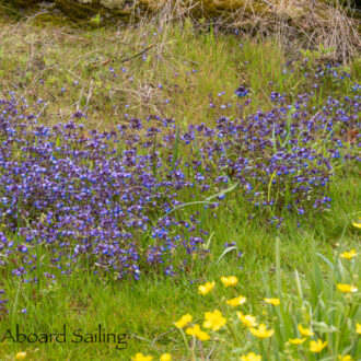 Earth Day trip to Yellow Island Nature Preserve