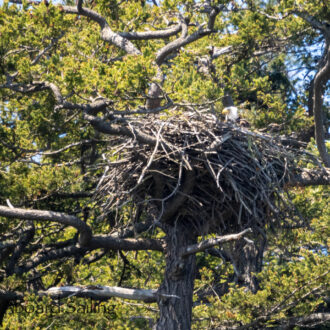 Sail around Flattop & Skipjack Island