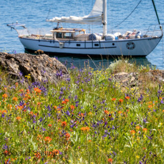 A visit to Yellow Island Nature Preserve