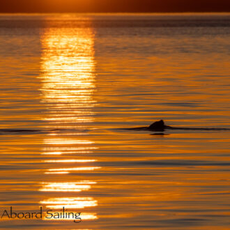 Sunset sail around Turn Island