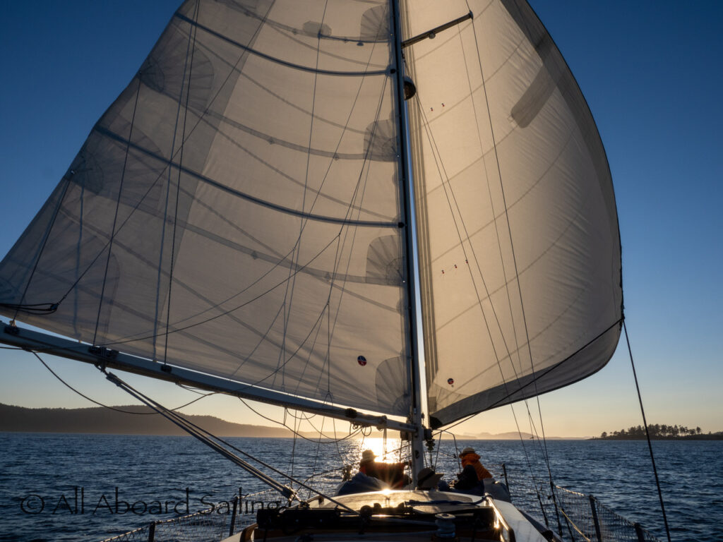 Wing on wing sailing downwind