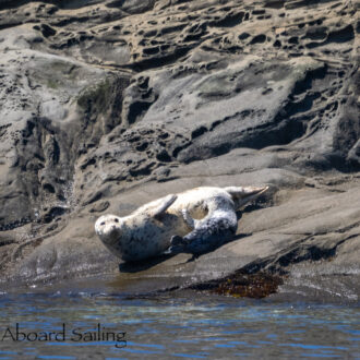 Sailing North to our Favorite Wildlife Refuges