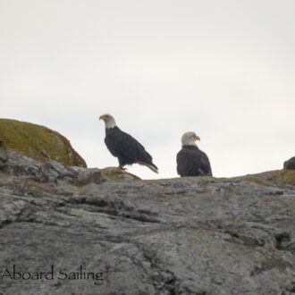 Sailing south to Salmon Bank