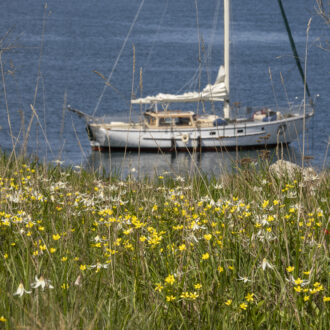 Short sail to Yellow Island