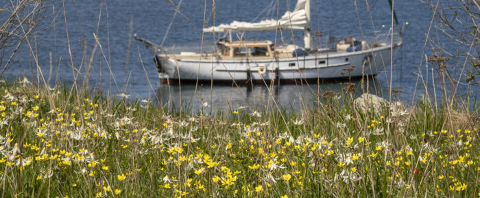 Short sail to Yellow Island