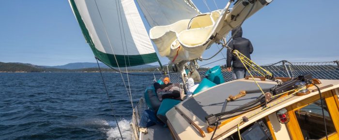 Great sailing to Flattop and back plus a harbor seal birth