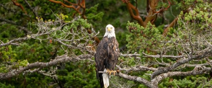 Sailing to New Channel and Flattop Island