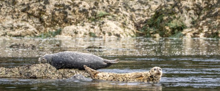 Short sail around Canoe and Turn Island
