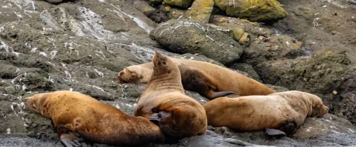 Northerly sail around Spieden Island