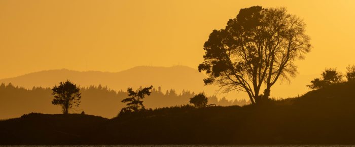 Beautiful short sunset sail
