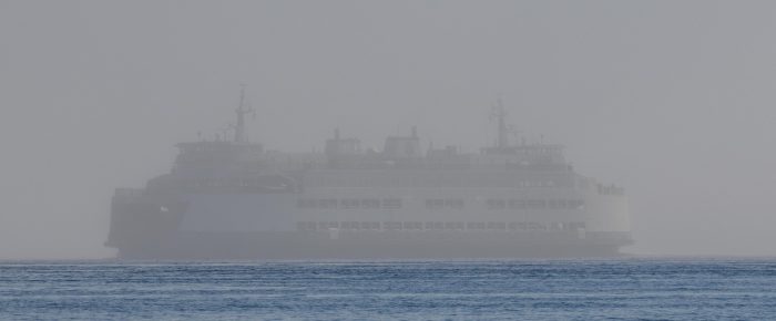 Sail to Whale Rocks in the fog