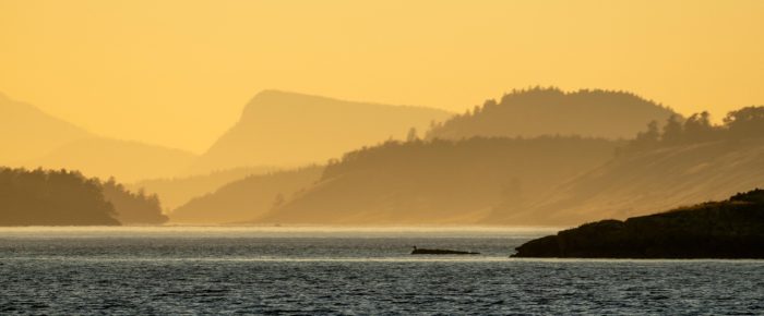 Short Sunset Sail