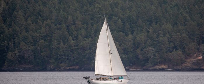 Afternoon short sail Afternoon short sail