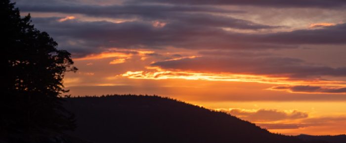 Spectacular Sunset Short Sail