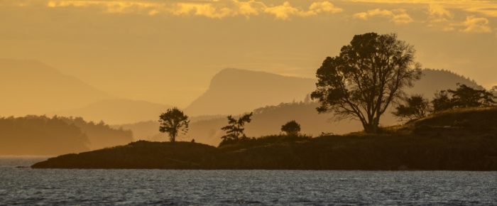 Short Sunset Sail